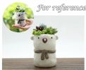 Lovely Scarf Bear Succulent Planter Pot Small Resin Cactus Herb Plant Pot Container