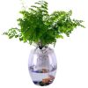 50cm Self Watering Wick String Capillary Effective Potted Self-Watering Stable Dripping Wicking String for Home