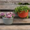 Flowerpot Fade-less Fall-resistant Ornamental Drain Hole Eco-friendly Plant Pot Plant Accessories