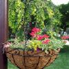 Hanging Pendant Chain Pot Flowers Basket Plants Replacement Lanterns Decoration